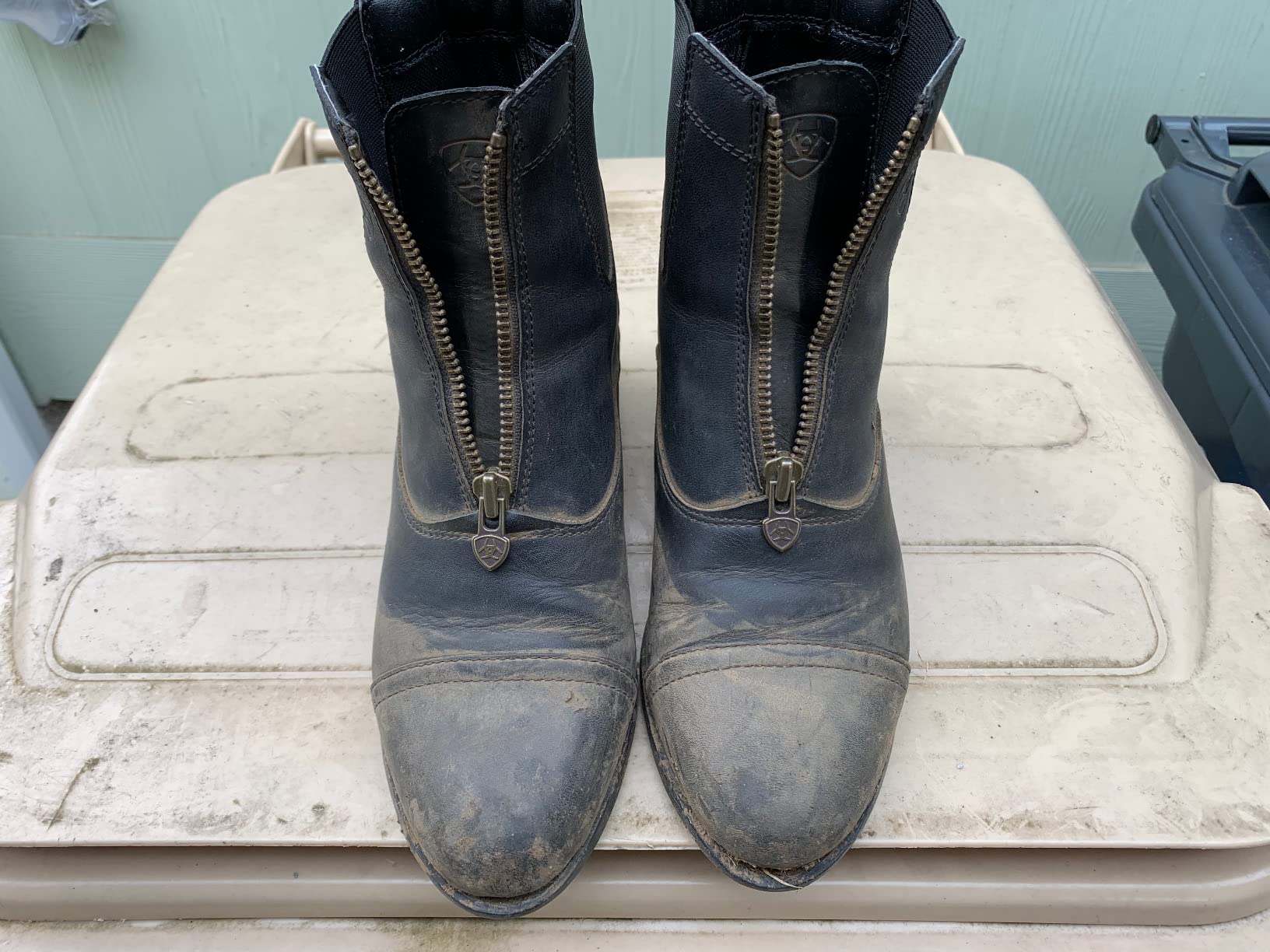 ARIAT Scout Zip Paddock customer photo 1