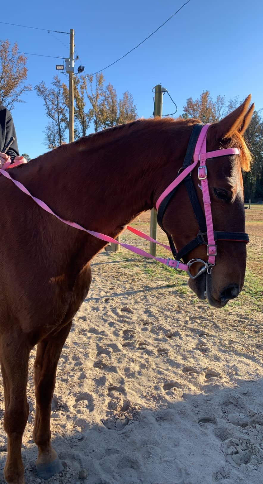 Tahoe Tack Plain Double Layer Nylon Headstall with Reins customer photo 1