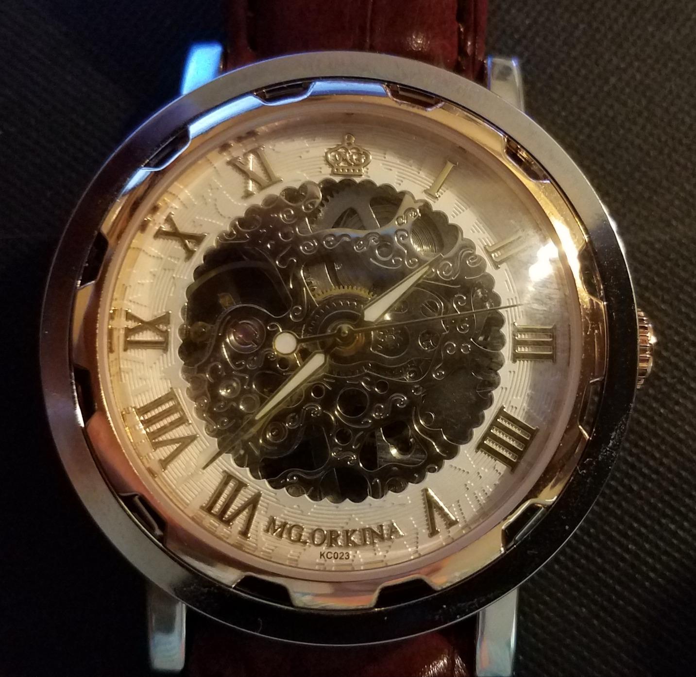 Gute Mechanical Skeleton Watch Hand-Wind Steampunk Roman Numeral Unisex customer photo 2
