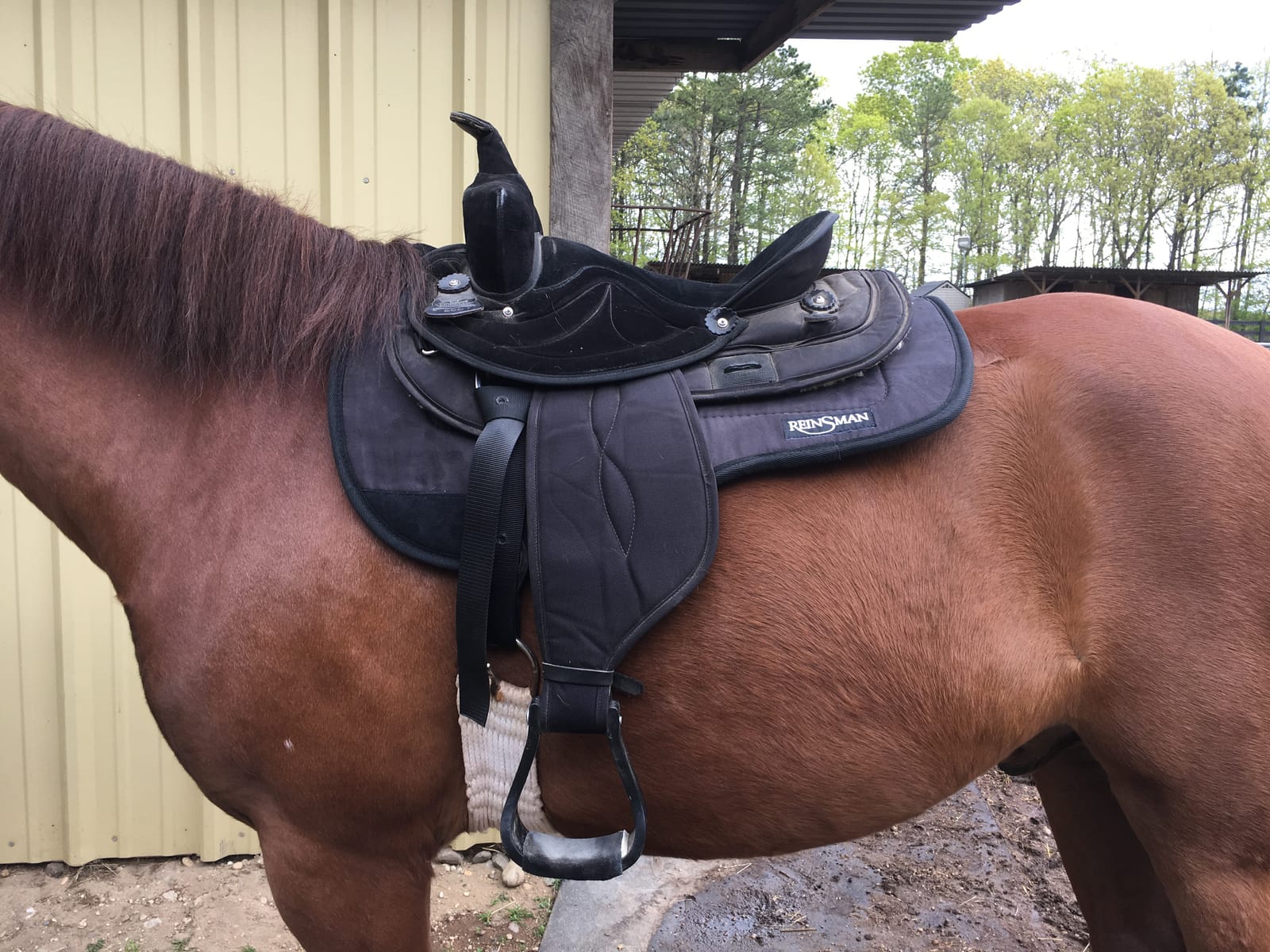 Reinsman Contoured Trail Pad with Breathable Non-Slip Tacky Too Bottom - Comfortable Durable Shock-Absorbing Stain & UV Resistant Horse Saddle Pad with Spine Relief Channel - 30