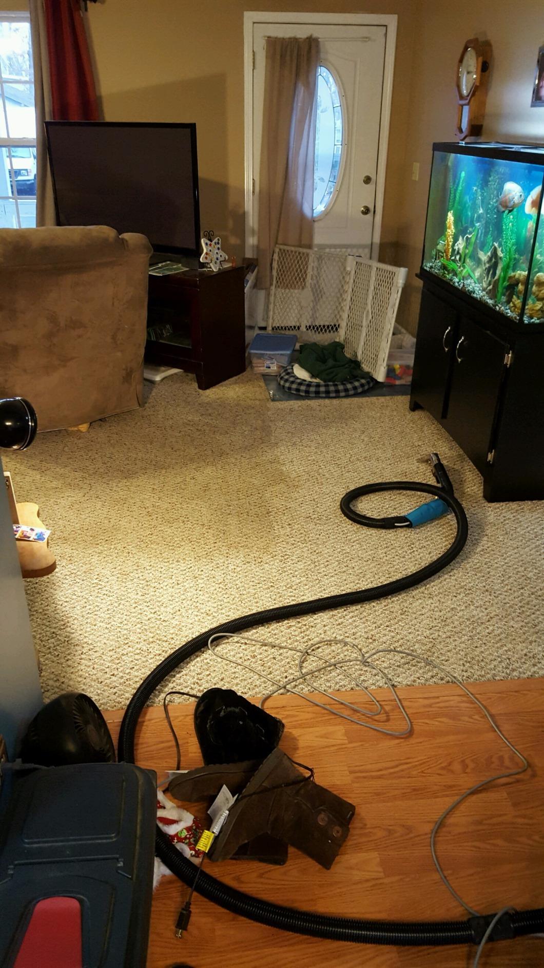 Mytee Lite 8070 Carpet Extractor Machine, Heated 3 Gallon tank customer photo 1