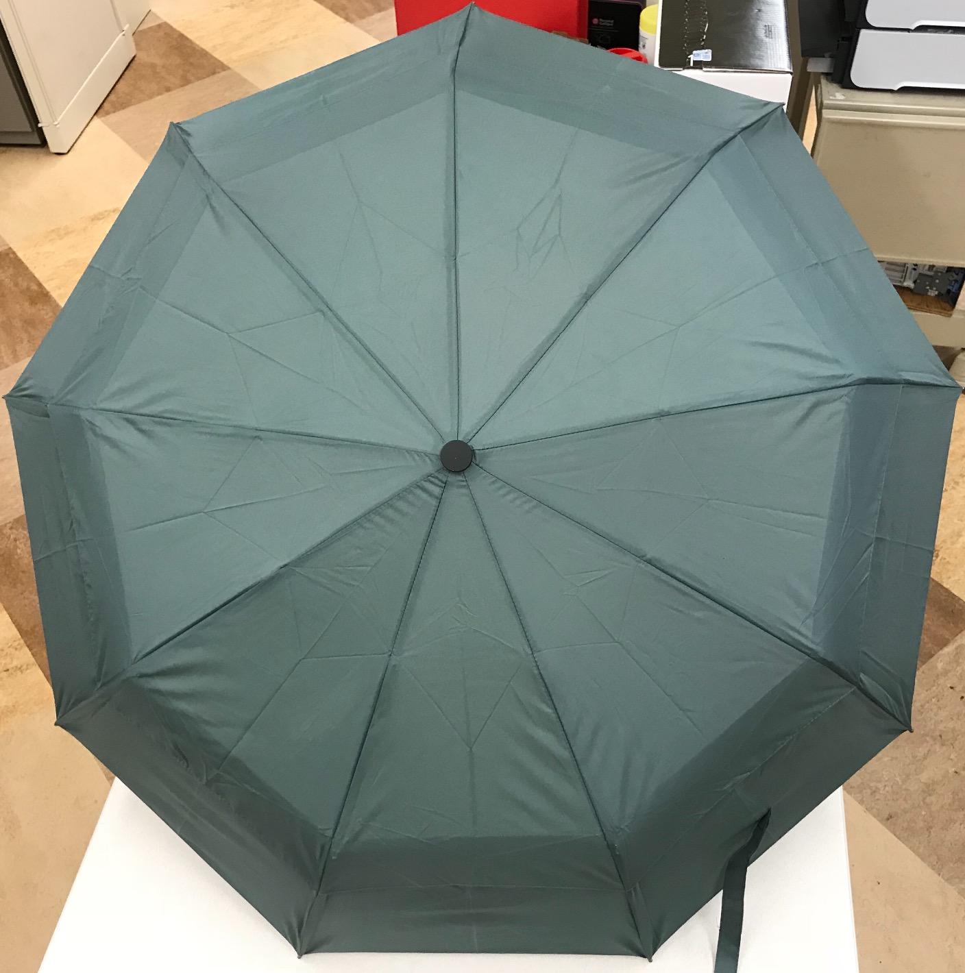 Windproof Travel Umbrella Auto Open Close, Compact 42