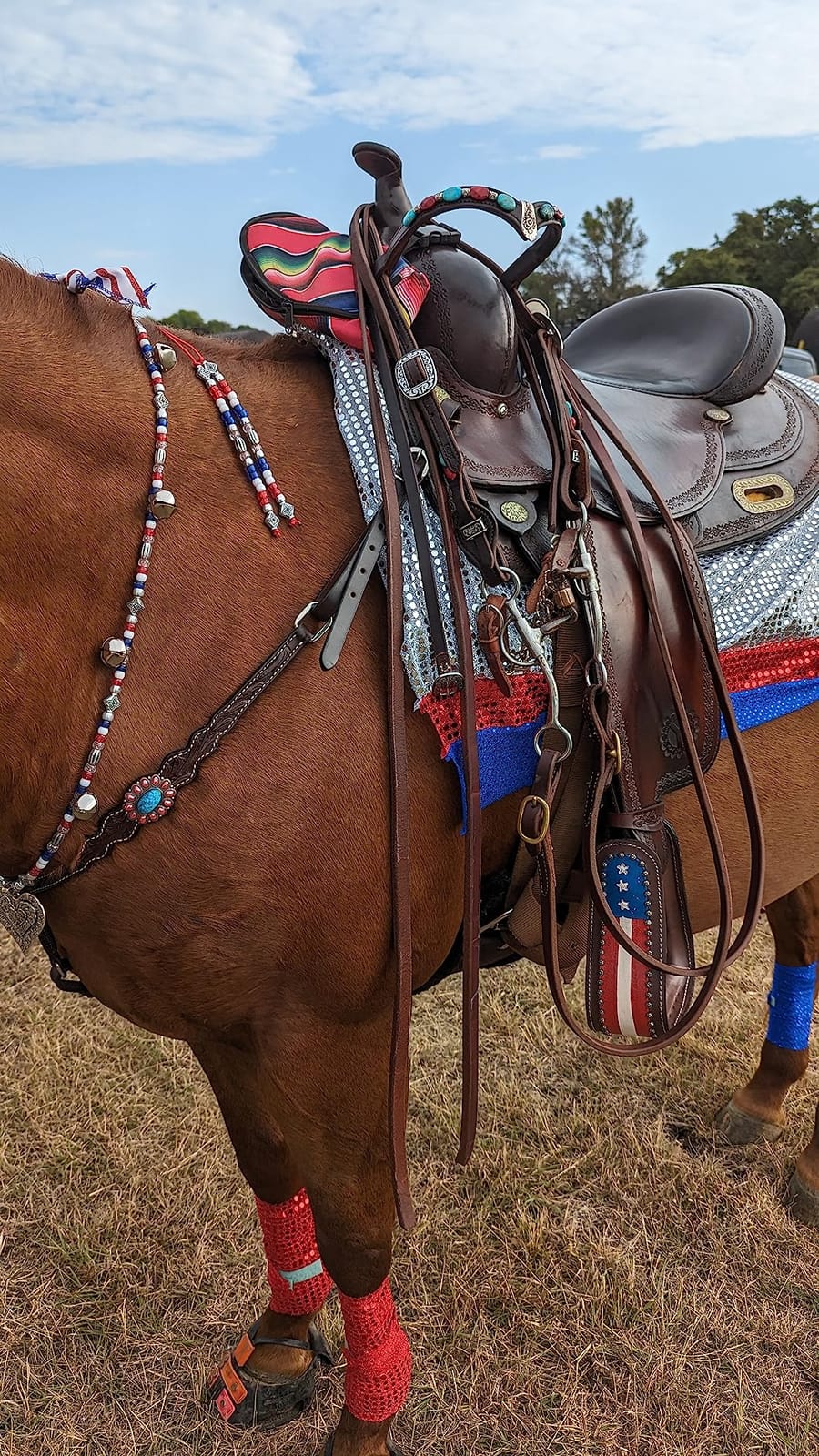 Tahoe TackWestern Stirrups customer photo 2