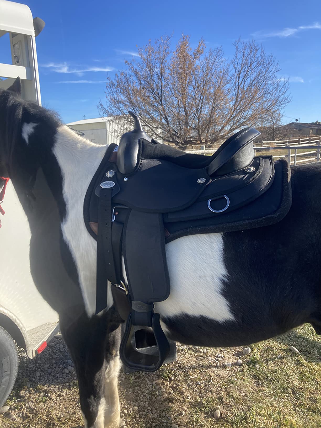 HILASON Flex Tree Western Horse Saddle Cordura Synthetic Trail & Pleasure | for Horses customer photo 2