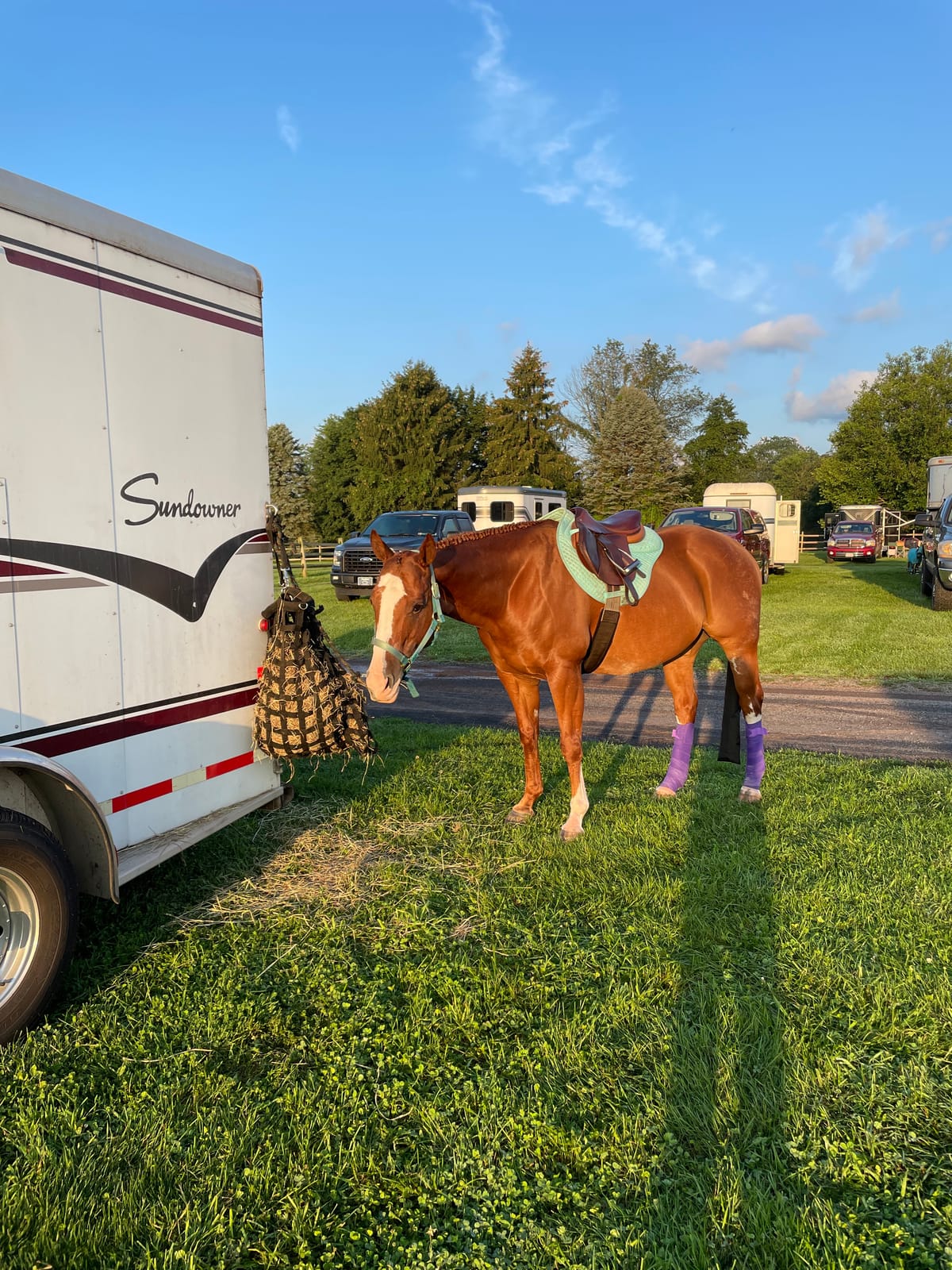 ECP Equine Comfort Products All-Purpose Contoured Correction Saddle Pad with Adjustable Memory Foam Inserts for Custom Support, Non-Slip, Shock Absorbing, 22” Spine, 19.5” Drop customer photo 1