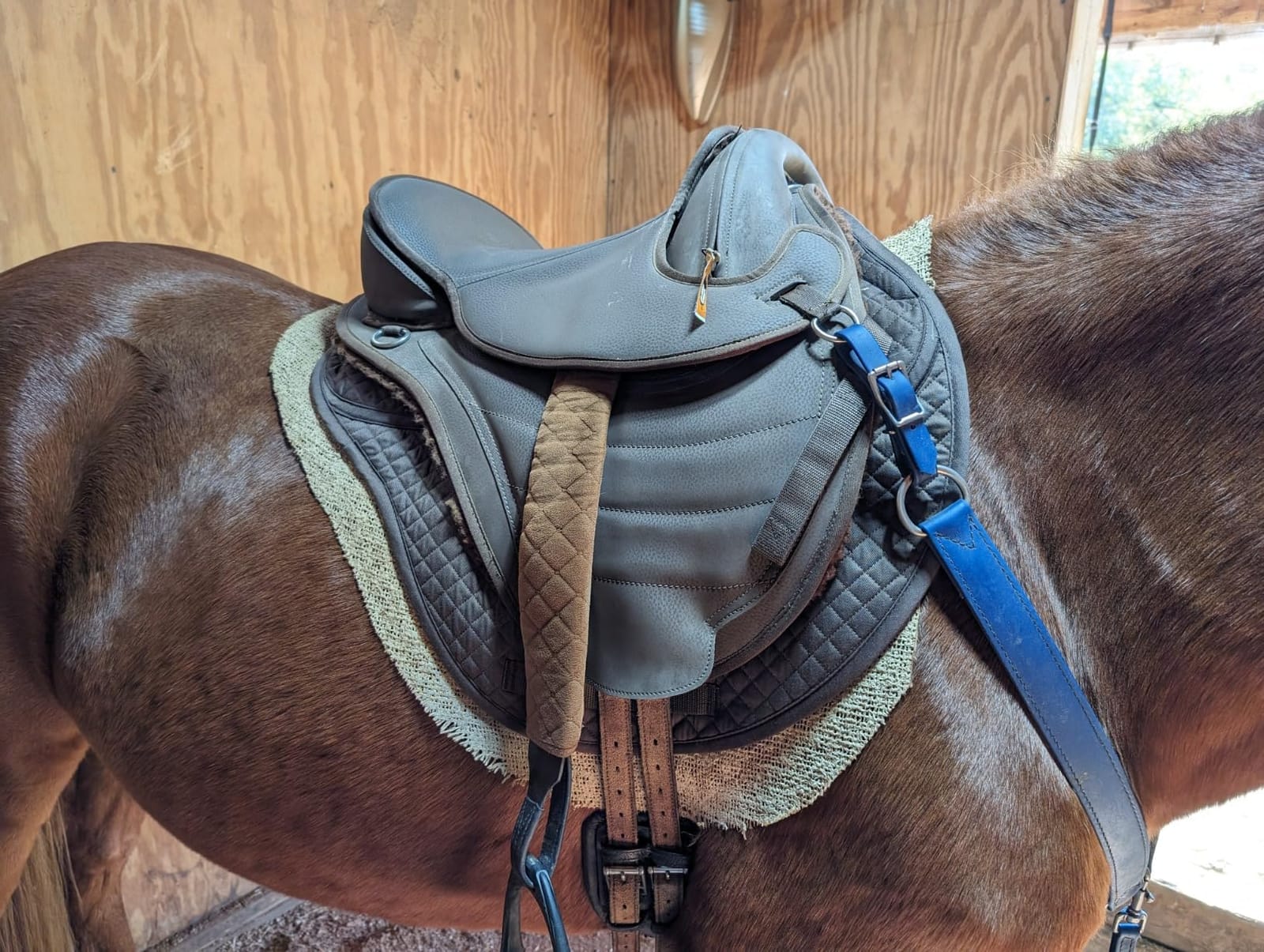 ECP Equine Comfort Products All-Purpose Contoured Correction Saddle Pad with Adjustable Memory Foam Inserts for Custom Support, Non-Slip, Shock Absorbing, 22” Spine, 19.5” Drop customer photo 2