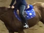 CHALLENGER Horse English Quilted Half Saddle Pad Correction Wither Relief Faux Fur Non Slip Dressage and Show Jumping 12218 customer photo 1