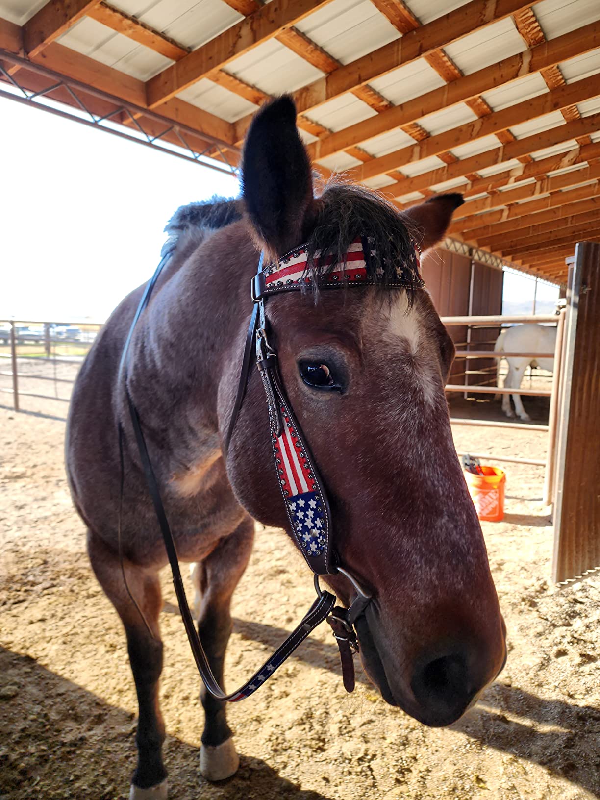 Tahoe Tack Patriotic Hand Painted American Flag Western Browband Headstall with Matching Reins customer photo 1