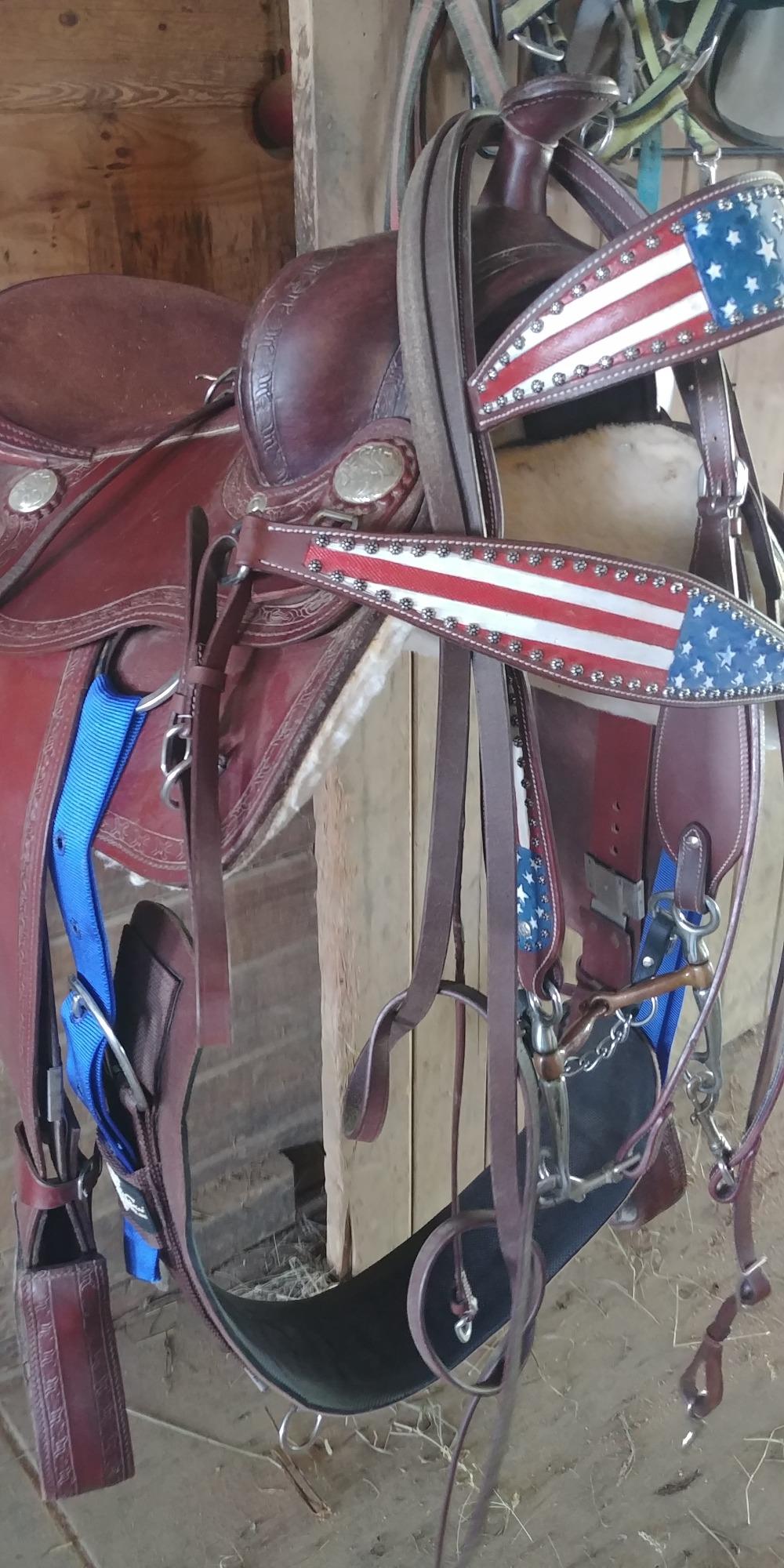 Tahoe Tack Patriotic Hand Painted American Flag Western Browband Headstall with Matching Reins customer photo 2