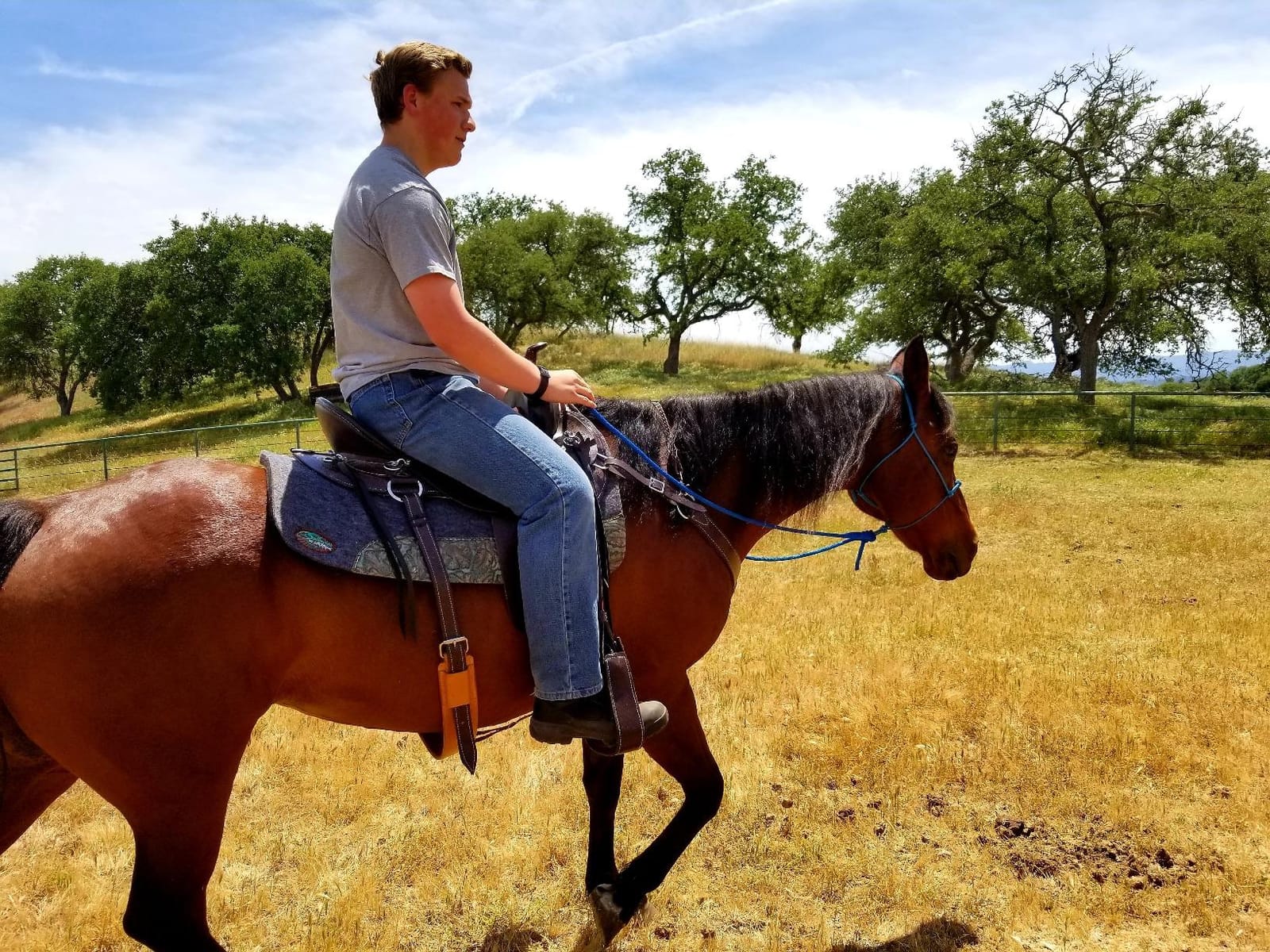 OrthoRide Correction Saddle Pad Western Saddle Pads - Made in USA customer photo 2