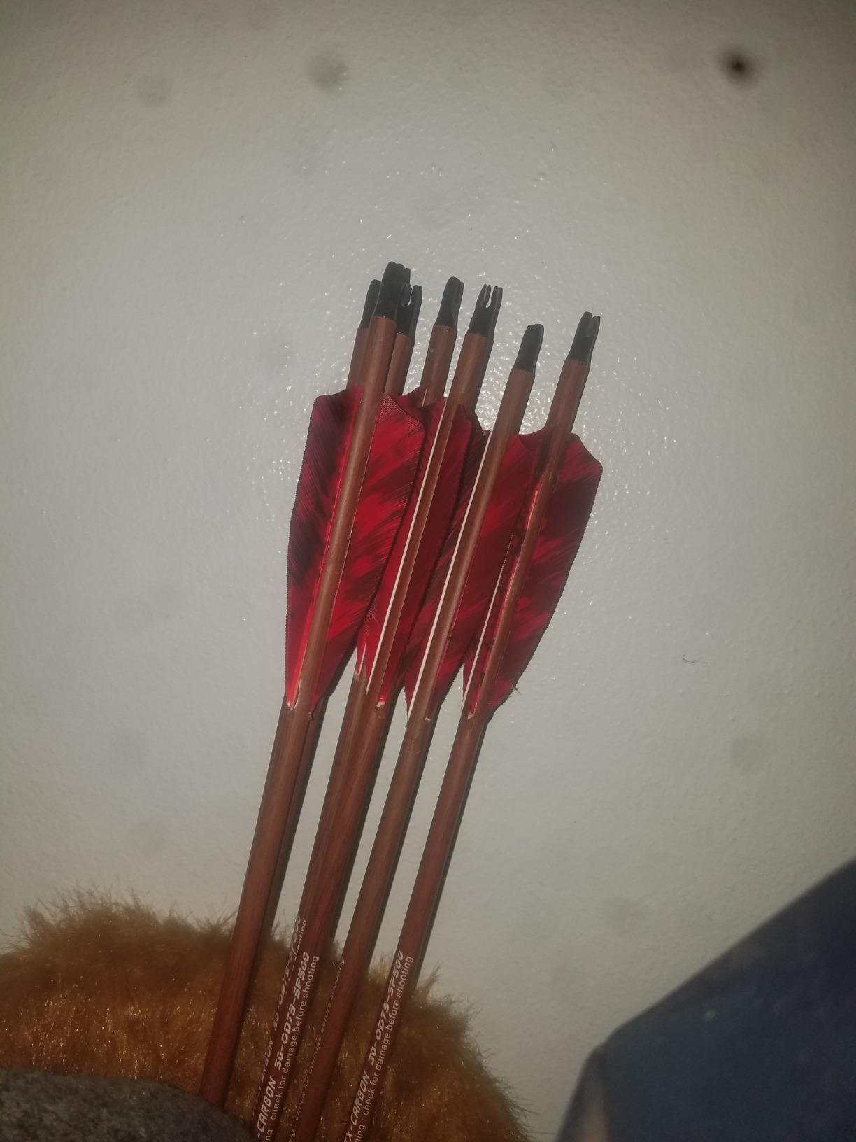 Archery 31-Inch Carbon Hunting Arrows, 4-Inch Turkey Feather Fletching with Replaceable Points, Targeting Practice Arrows Spine 500 for Recurve & Traditional Bows customer photo 1