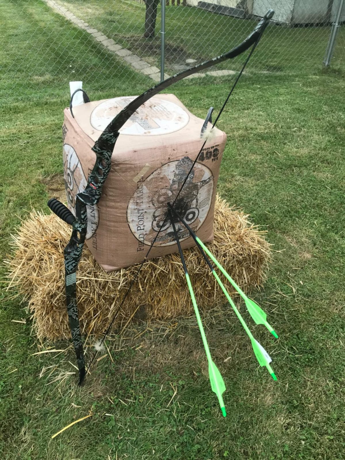 30inch Carbon Arrow Fluorescence Color Targeting and Practice and Hunting Arrows for Compound Bow and Recurve Bow with Removable Tips(Pack of 12) customer photo 1