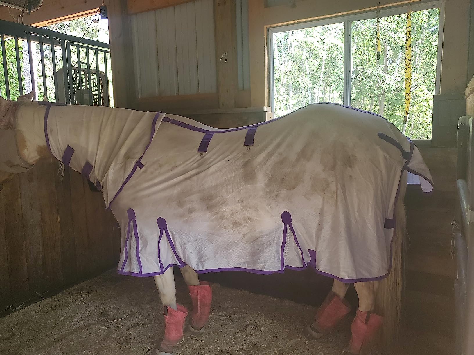Challenger Horse Mesh Summer Fly Sheet Spring Airflow Neck 73101 customer photo 2