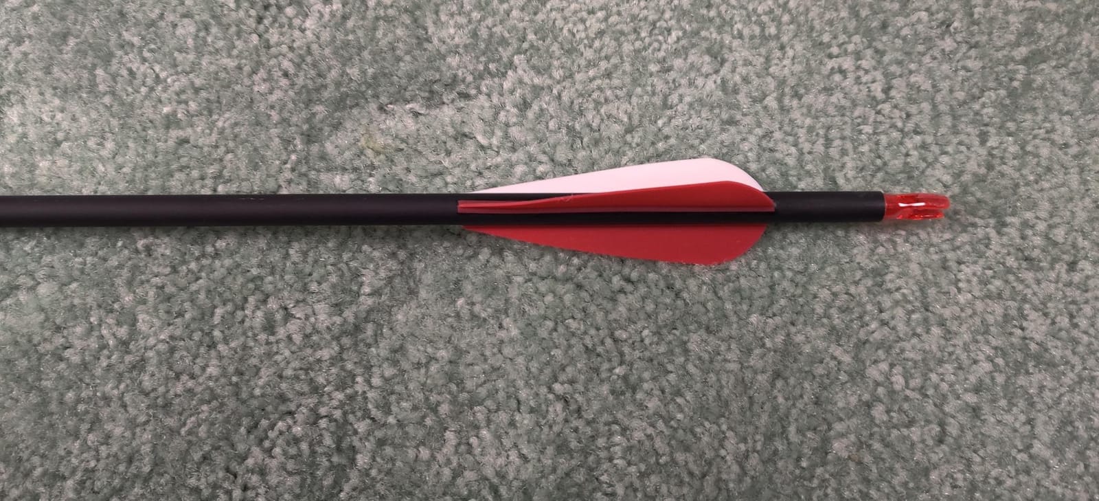Carbon Arrow Hunting Arrows with 100 Grain Removable Tips for Archery Compound & Recurve & Traditional Bow Practice Shooting (Pack of 12) customer photo 1