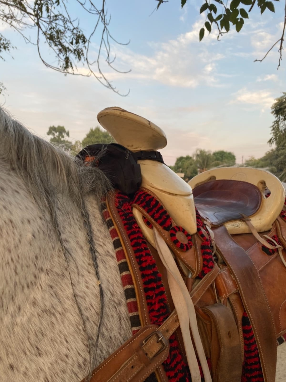 Southwestern Equine Dusty's Saddle Pouch, Cell Phone Holder for Saddle Sack Insulated Liner [Waterproof Version] customer photo 1