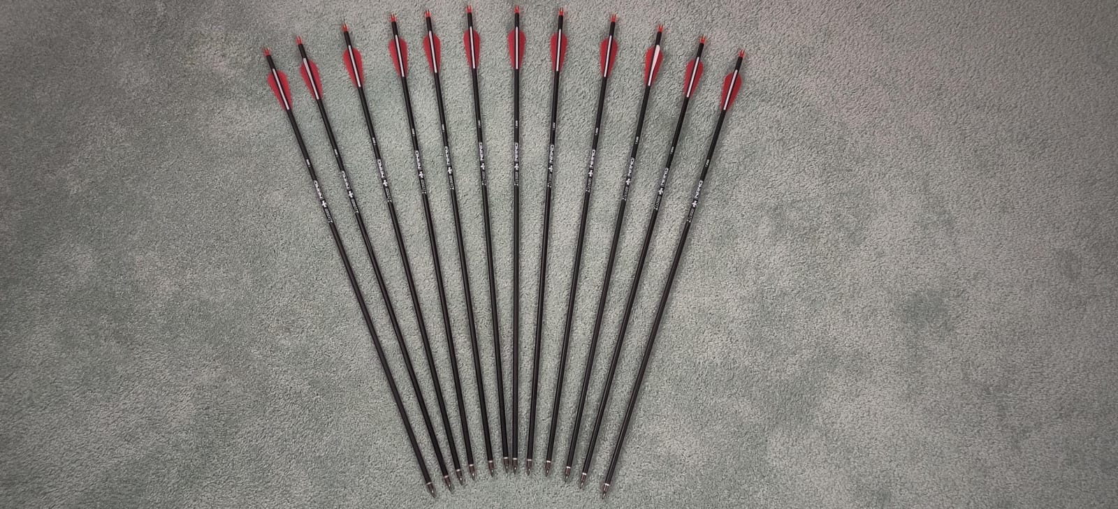 Carbon Arrow Hunting Arrows with 100 Grain Removable Tips for Archery Compound & Recurve & Traditional Bow Practice Shooting (Pack of 12) customer photo 1