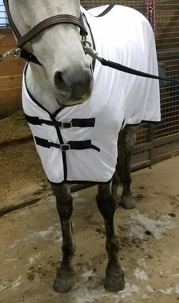 TuffRider Comfy Mesh Fly Sheet | UV Protection Horse Sheet, Standard Neck, 130 Grams Breathable Polyester Mesh - Porcelain Blue/Teal - 69 customer photo 1