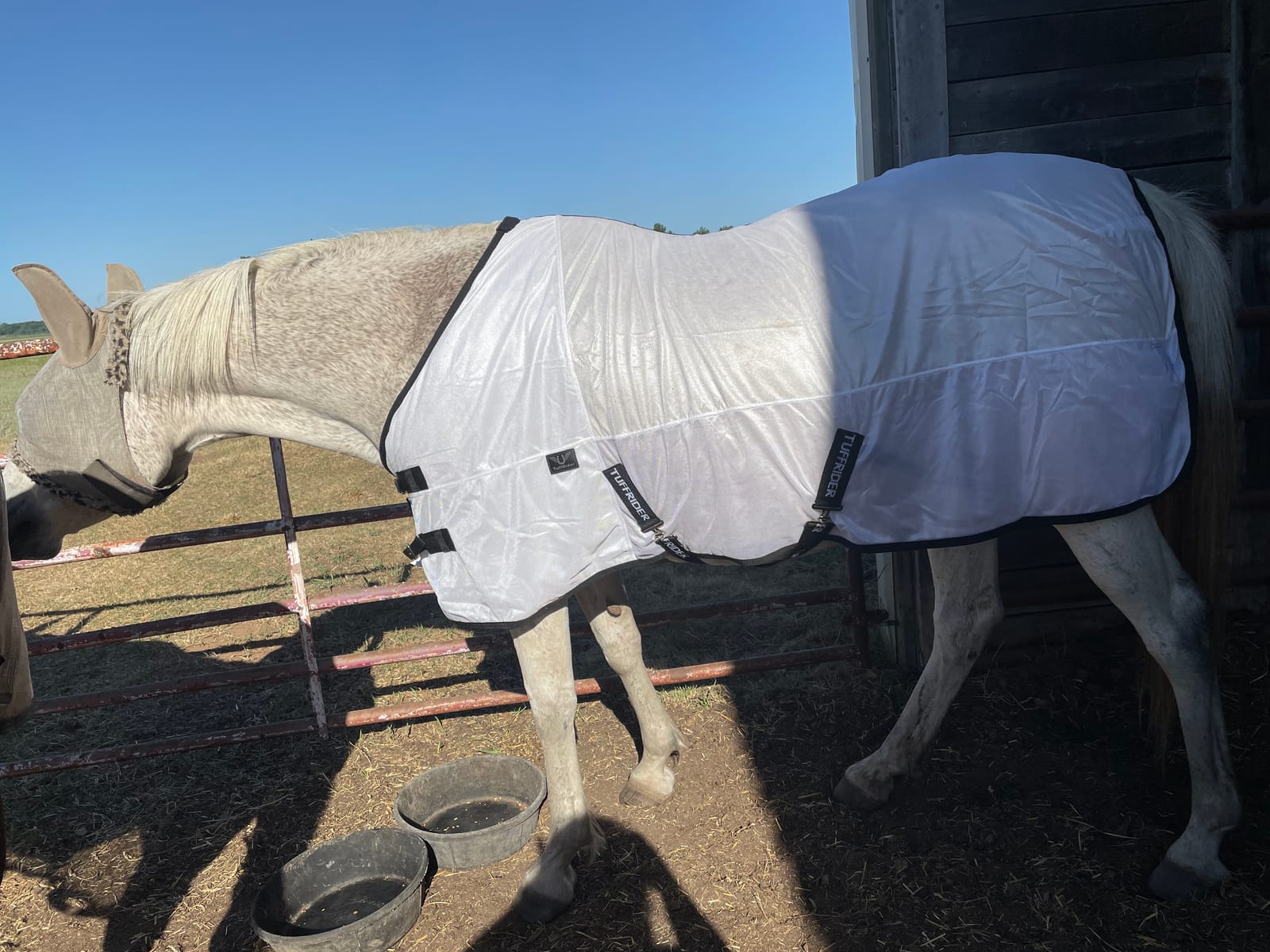 TuffRider Comfy Mesh Fly Sheet | UV Protection Horse Sheet, Standard Neck, 130 Grams Breathable Polyester Mesh - Porcelain Blue/Teal - 69 customer photo 2