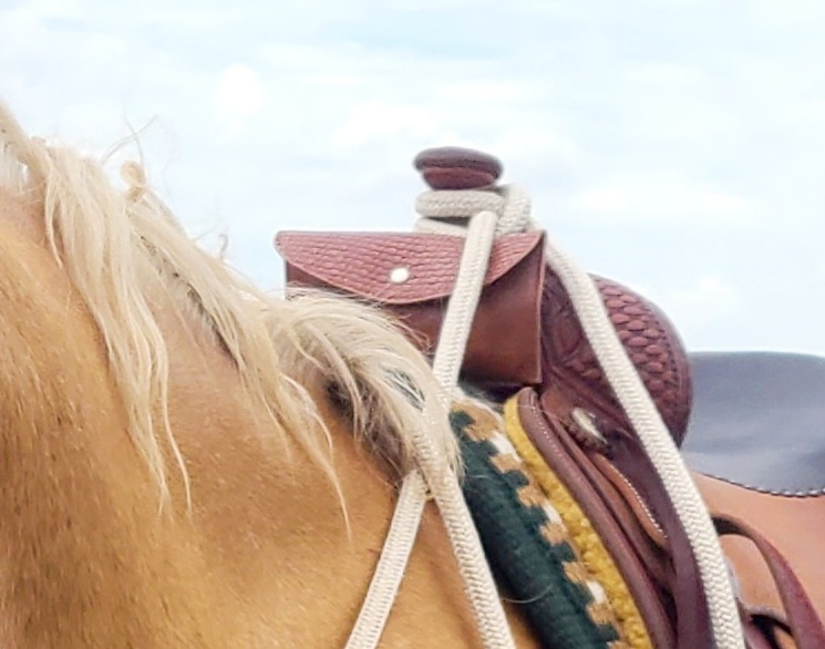 Saddle Pommel Bag - Phone Holder & Equestrian Gift for Women, Horse Tack Essentials customer photo 1