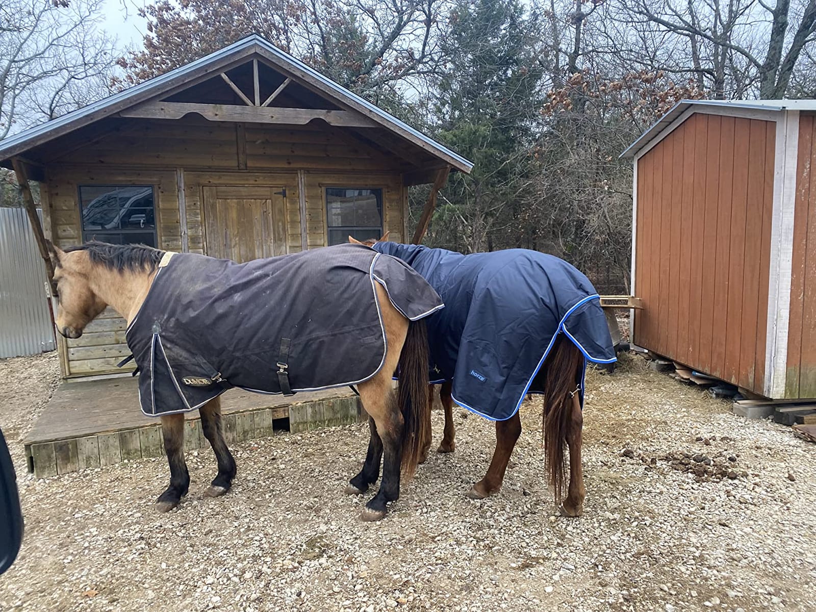 HORZE Glasgow Waterproof Combo Turnout Horse Blankets for Real Horses customer photo 2