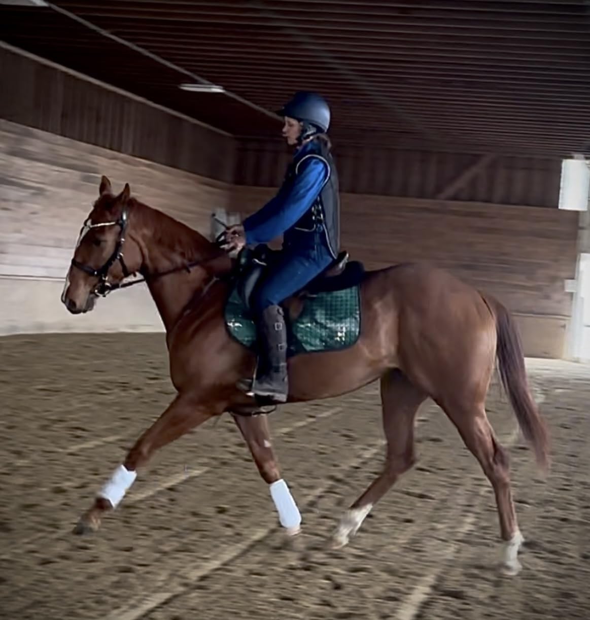 Tipperary Equestrian Horse Riding Eventing Vest - Eventer Pro customer photo 2