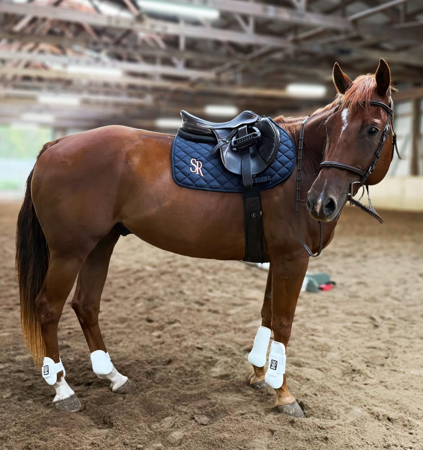 Harrison Howard Horse Tendon Boots Open Front/Fetlock Boot for Horse Protective Boots for Jumping, Trail Riding Set of 4 customer photo 2
