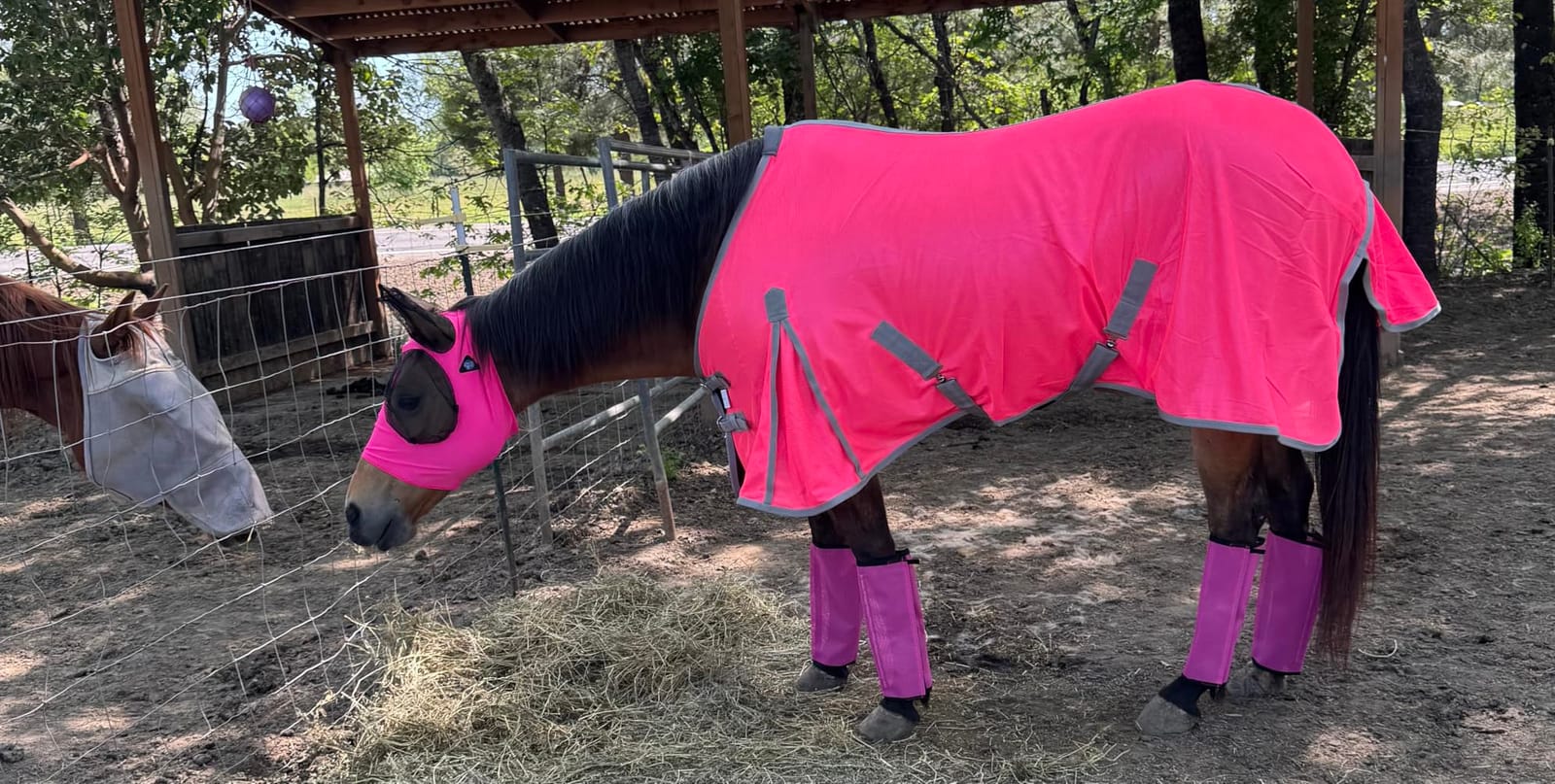 Soft Mesh Fly Sheet with Leg Straps customer photo 1