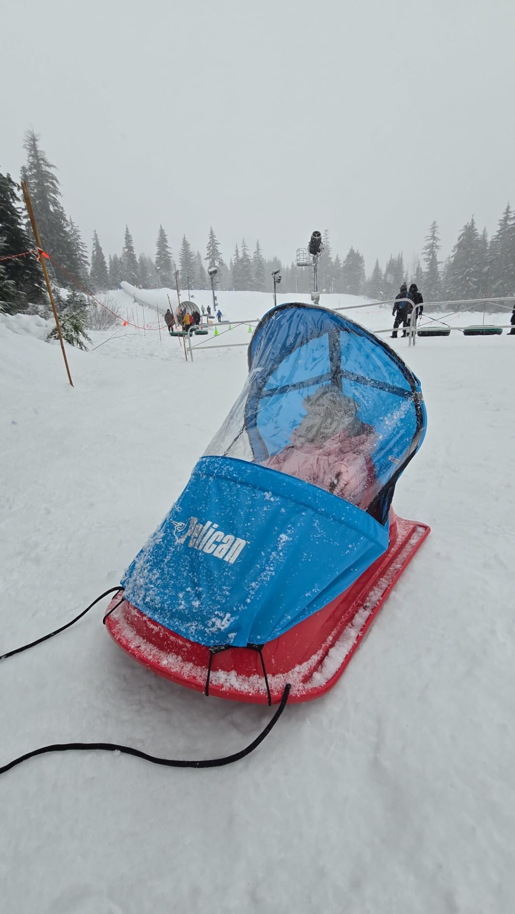 Pelican Baby Sled Deluxe with Weather Shield - Toddler Sled for Snow, Durable for Winter Sledding - Ages up to 24 Months customer photo 1