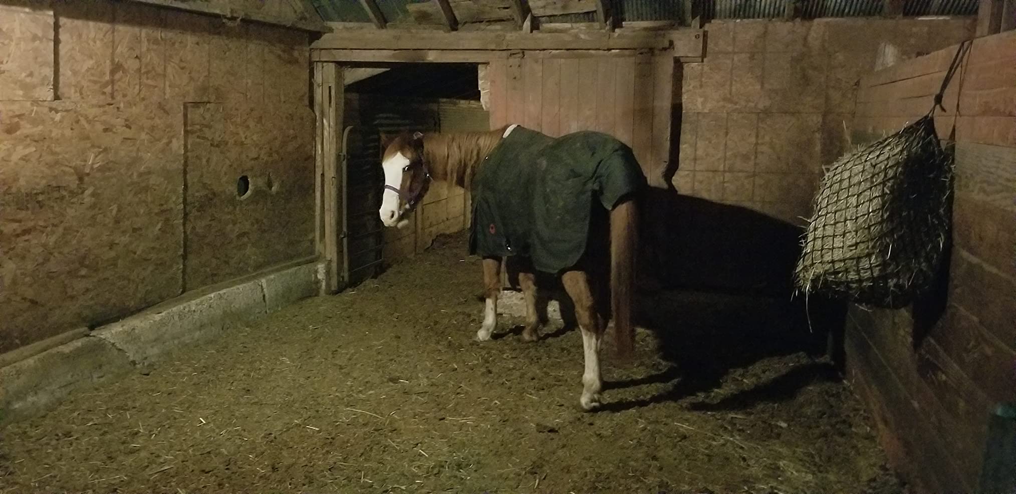 Winter Horse Blanket 300GSM 600 Denier (Waterproof/Breathable/Snow Proof) Turnout Blanket | Heavy Winter Blanket (78, Black with Turquoise Trims) customer photo 1