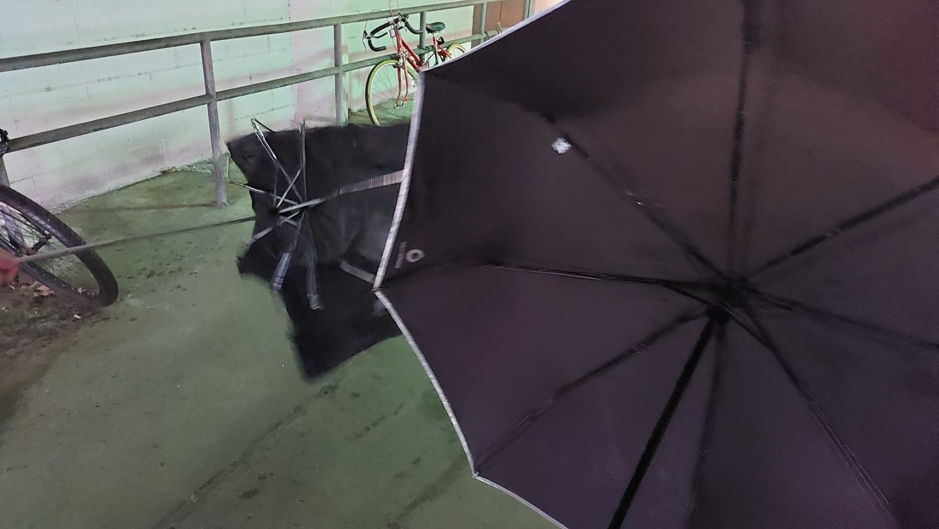 Weatherman Premium Small Compact Mini Umbrella for Travel customer photo 1