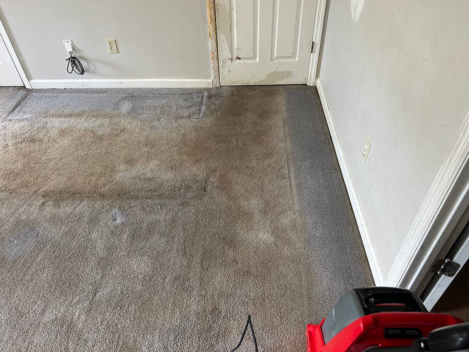 Rug Doctor Pro Deep Commercial Carpet Cleaner with Pet Cleaner Bundle customer photo 2