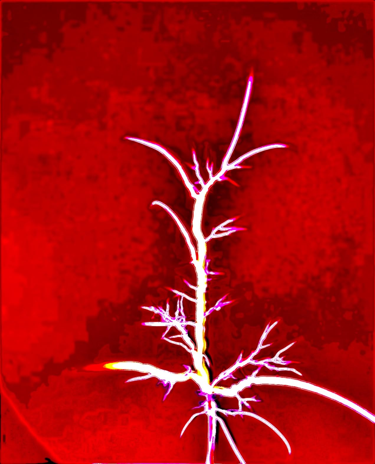Music Solid State Tesla Coil Artificial Lightning Arc Plasma Loudspeaker Experiment Science Desktop Toy Model customer photo 2