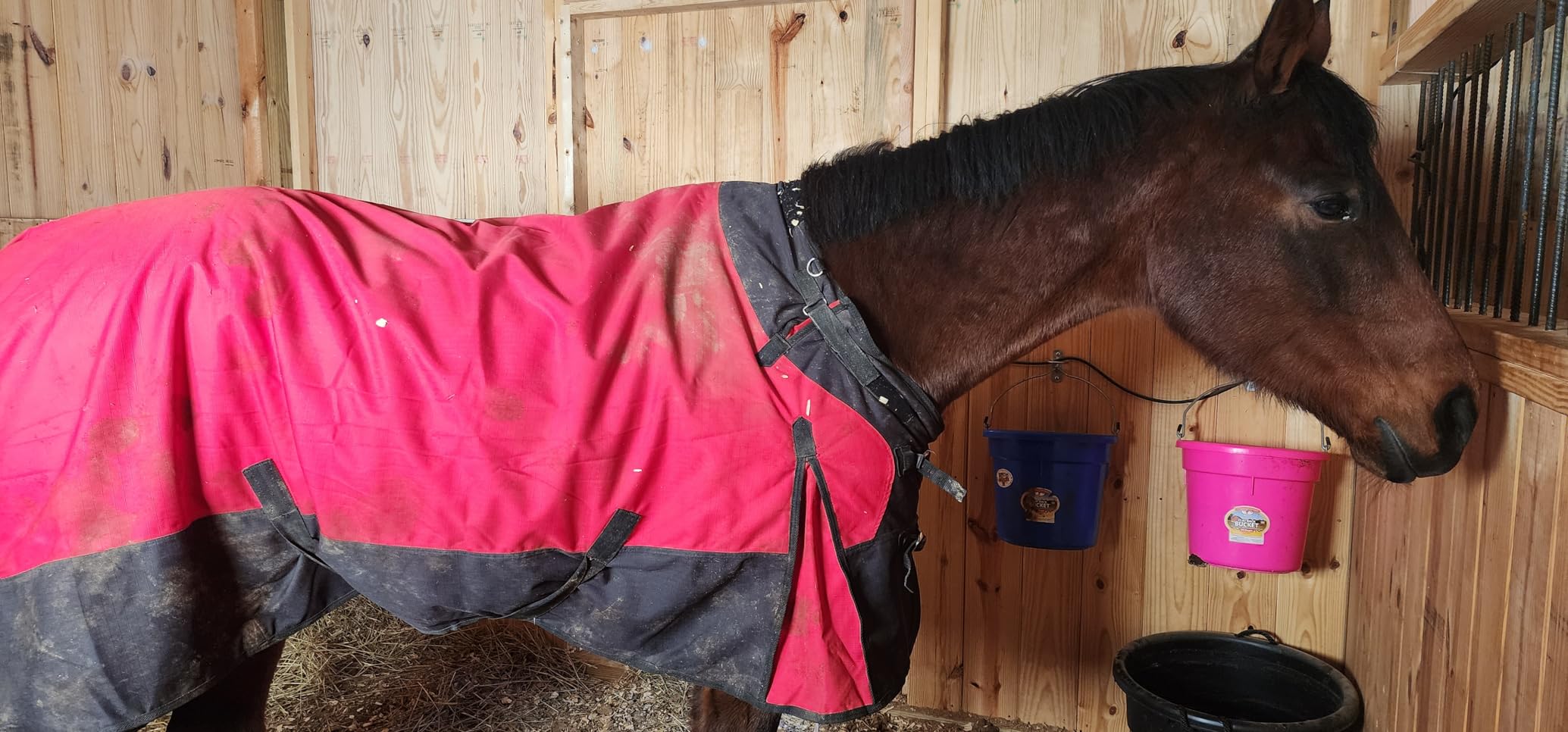 1200D Horse Turnout Blanket Waterproof, Breathable, Heavy-Weight Winter Blanket with 300g Fill, Ripstop Outer Shell customer photo 1