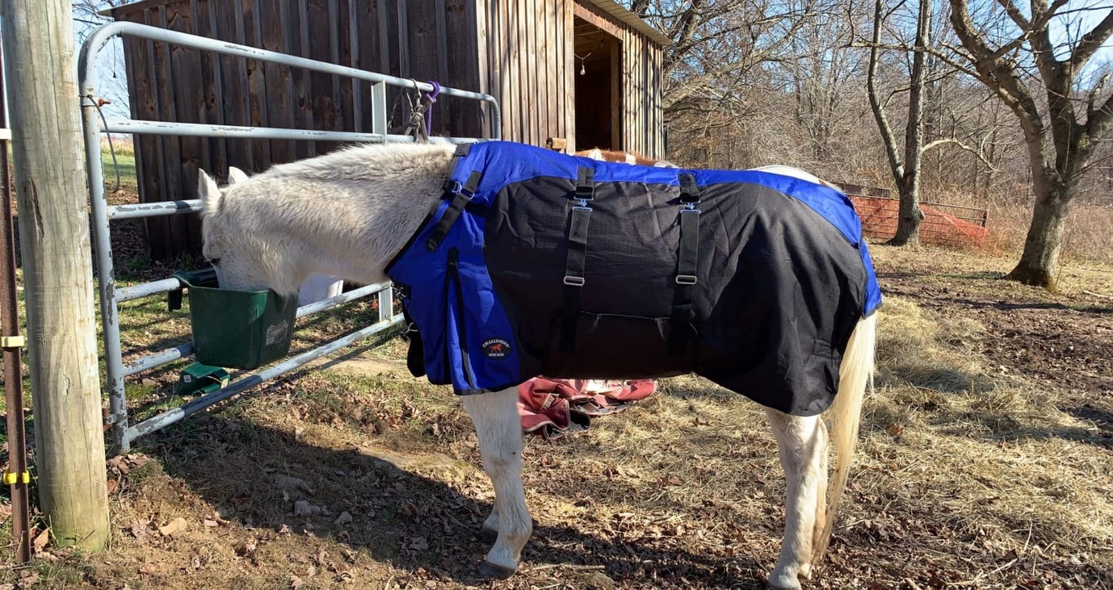 1200D Horse Turnout Blanket Waterproof, Breathable, Heavy-Weight Winter Blanket with 300g Fill, Ripstop Outer Shell customer photo 2