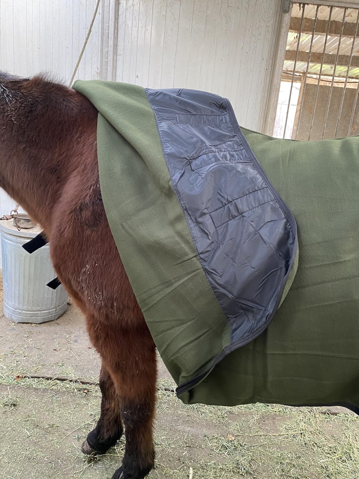 RESISTANCE Fleece Contour Horse Cooler — Anti-Sweat Moisture Wicking, 3 Quick-Grip Neck Closures, Tail Cord, Durable Hemmed Edges, Polar Soft Fleece, Post-Exercise Cool Down customer photo 2