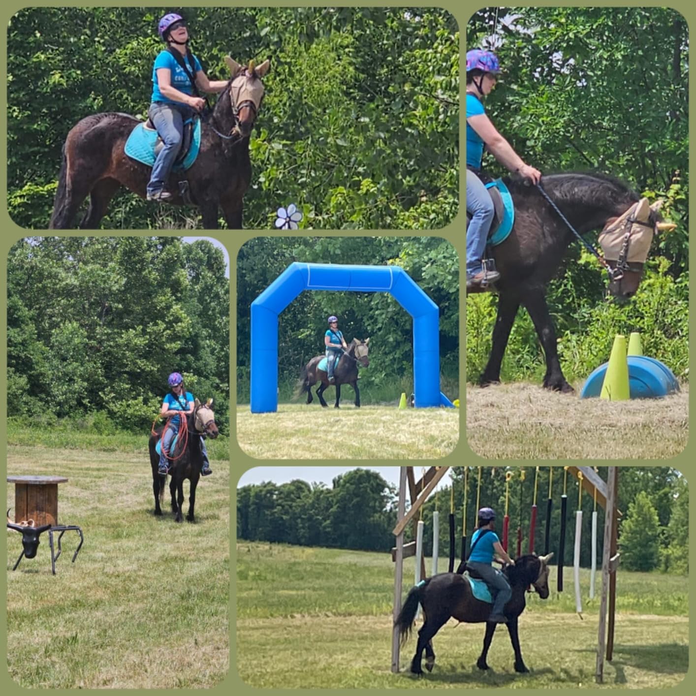 Troxel Terrain MIPS Cooling Horse Riding Helmet, Low-Profile, Micro-Adjustable Design, Horseback Riding Gear customer photo 1