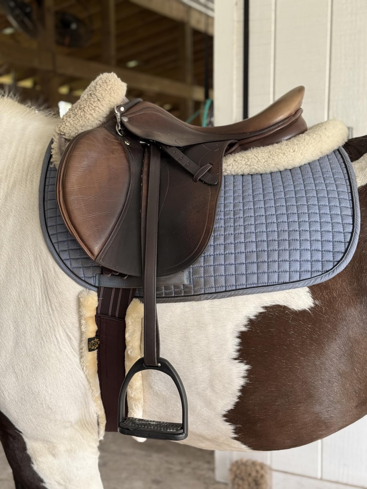 T TEKE Daily English Girths for Horses: Padded with Fleece, Double-Sided Heavy-Duty Elastic and Stainless Steel Buckles (Sizes 38”-56