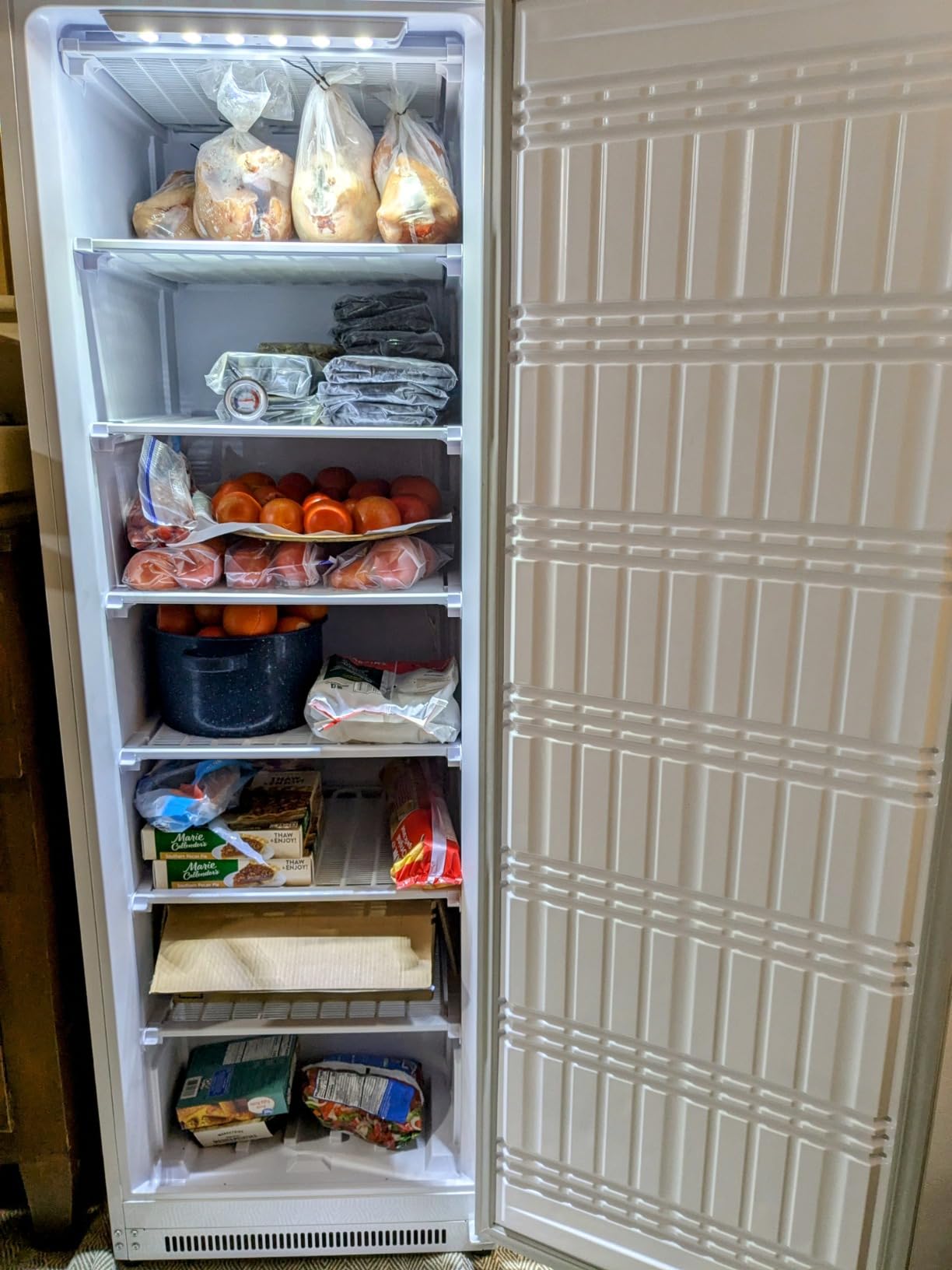 KoolMore 21 Cu. ft. Commercial Reach-in Freezer in White Manual Defrost (KM-FMD20WH) customer photo 2