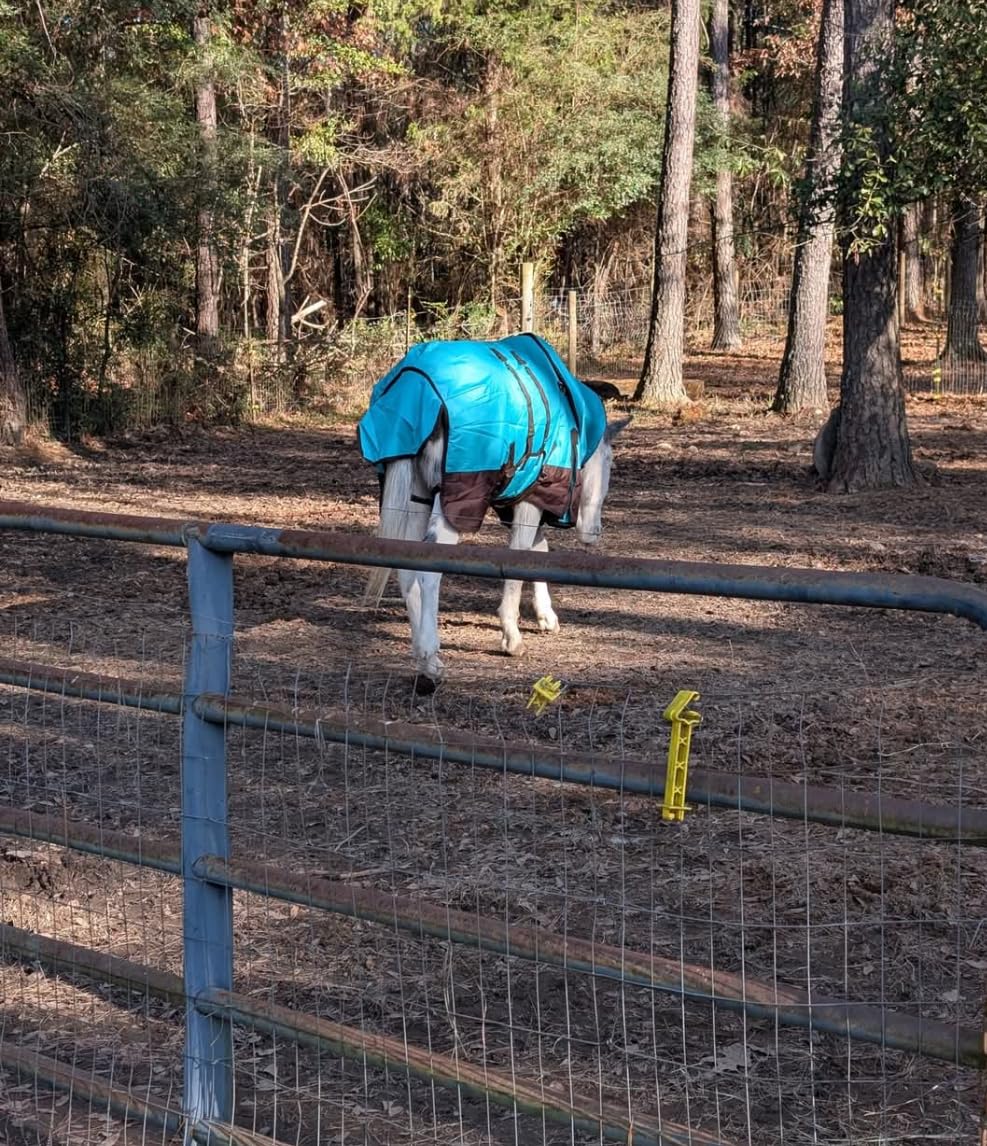 HILASON 1200D Winter Horse Turnout Blanket Wine 74in customer photo 2