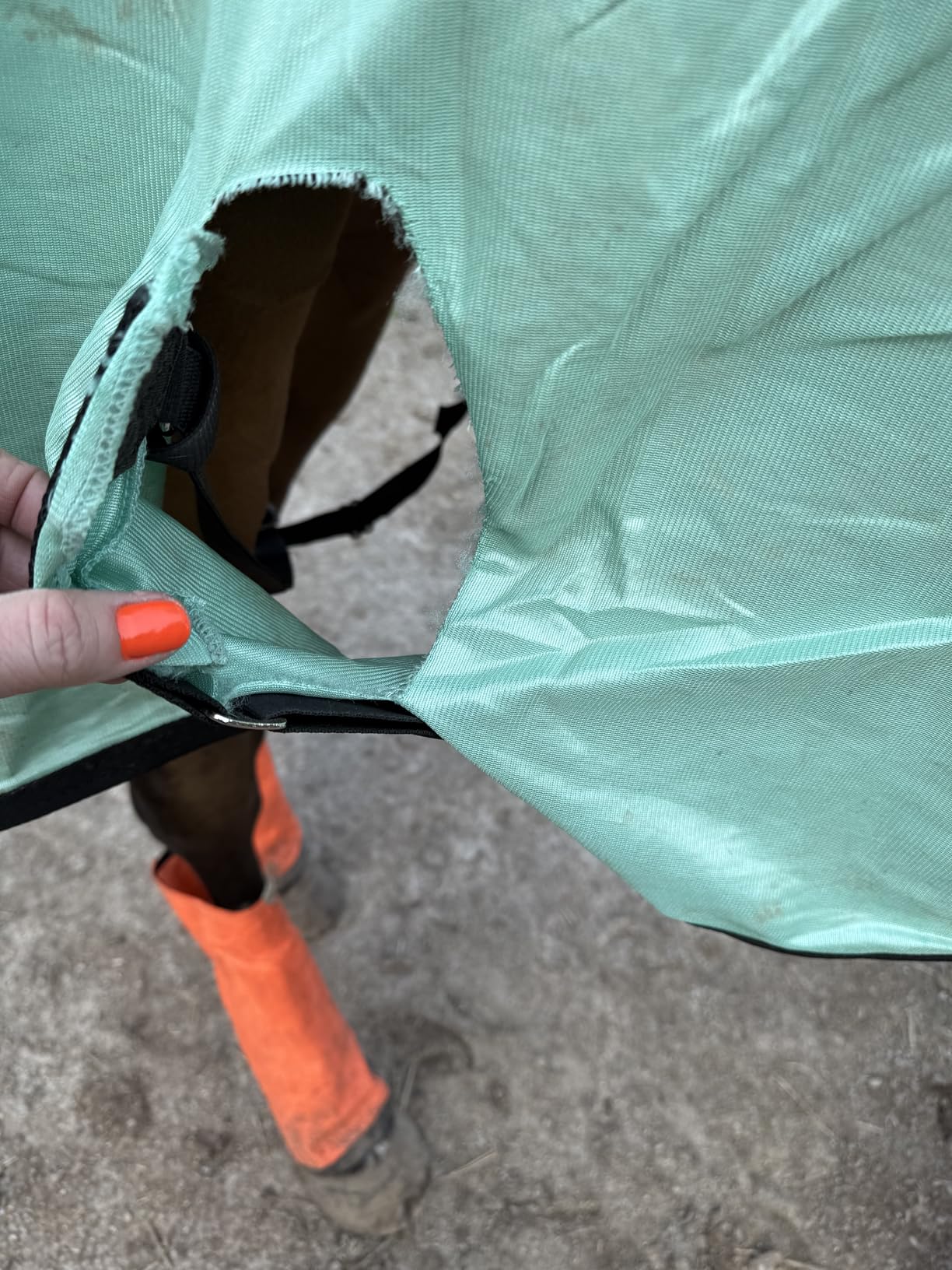 Horse Fly Sheet, Standard Neck, Breathable Fine Mesh Summer Sheet customer photo 2