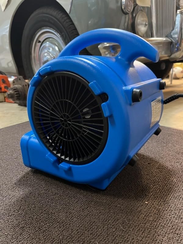 MOUNTO 1/5hp Air Mover 800cfm Blower Fan Carpet Floor Drying Fan - 3-Speed Compact Air Mover w/Dual Outlet, 10ft Power Cord for Drying, Cooling, Air Circulation (Blue) customer photo 1