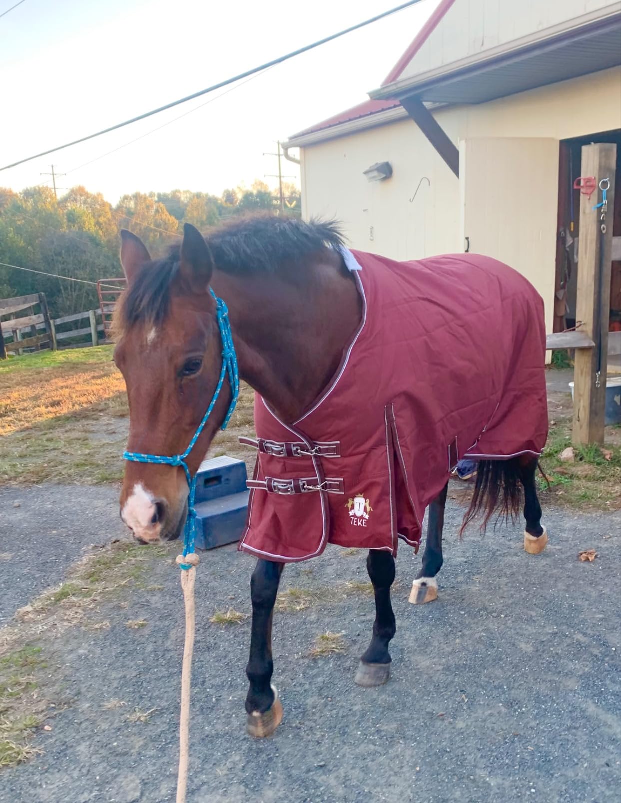 T TEKE Deluxe Turnout Horse Blankets, 1200D Waterproof and Breathable Horse Care Blankets for Winter 200gram Filling (51