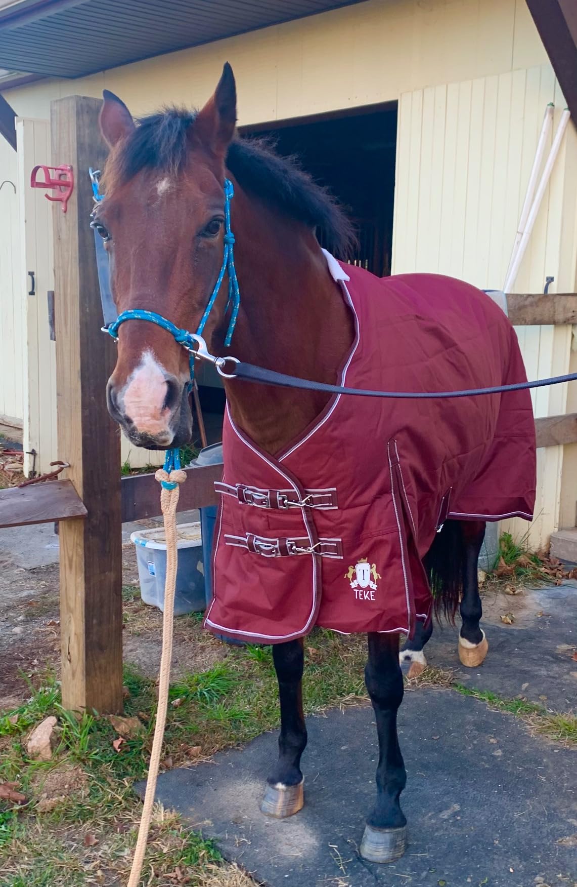 T TEKE Deluxe Turnout Horse Blankets, 1200D Waterproof and Breathable Horse Care Blankets for Winter 200gram Filling (51