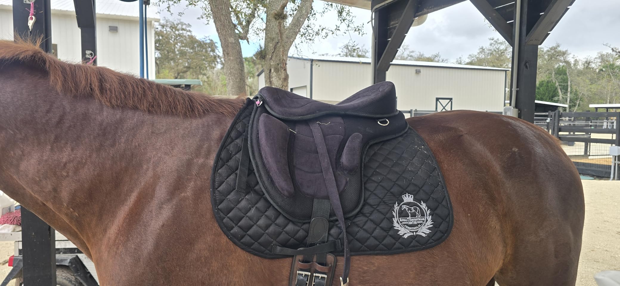 ADB CREATIONS Treeless Freemax English Horse Saddle for Pony & Adult Riders, Lightweight Synthetic All-Purpose Saddle with Girth & Aluminum Stirrups, Flexible Comfort Design, Seat Sizes 10–18 in customer photo 1