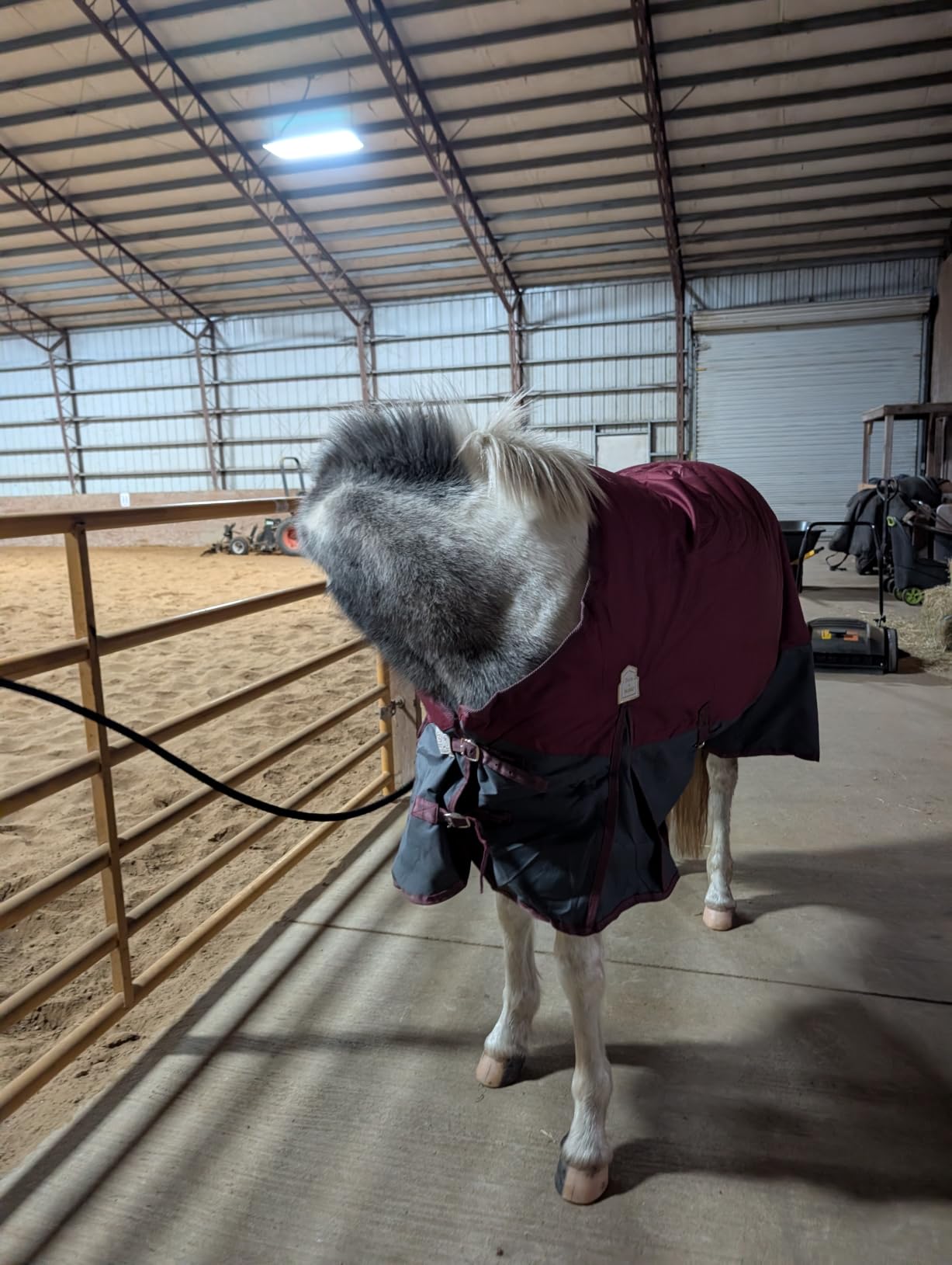 BARN & STABLE 600Denier 3000mm/3000mvp Super Waterproof & Breathable Horse Blankets for Winter with 200g Fill customer photo 1