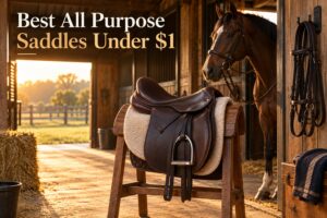 Best All Purpose Saddles Under $1
