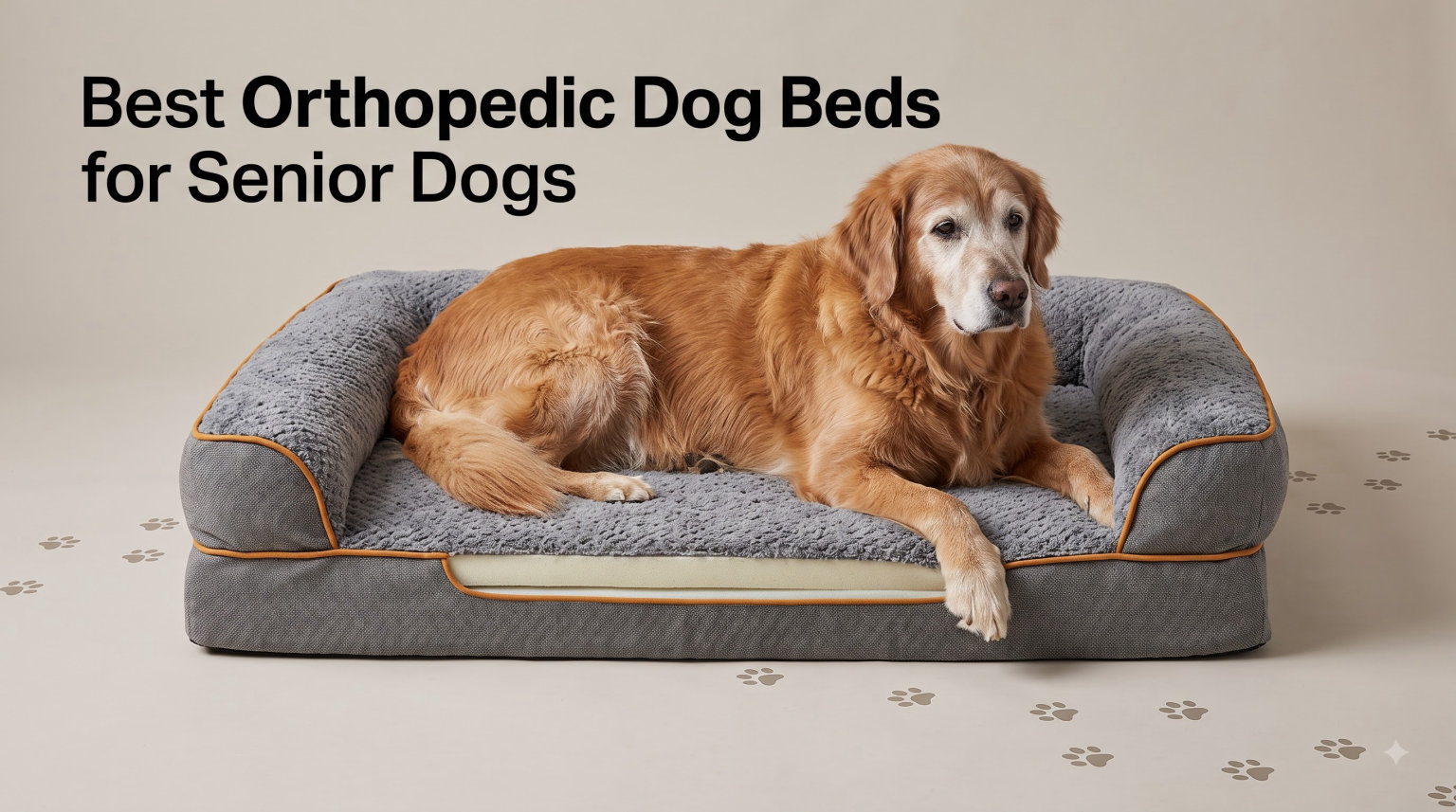 Best Orthopedic Dog Beds for Senior Dogs