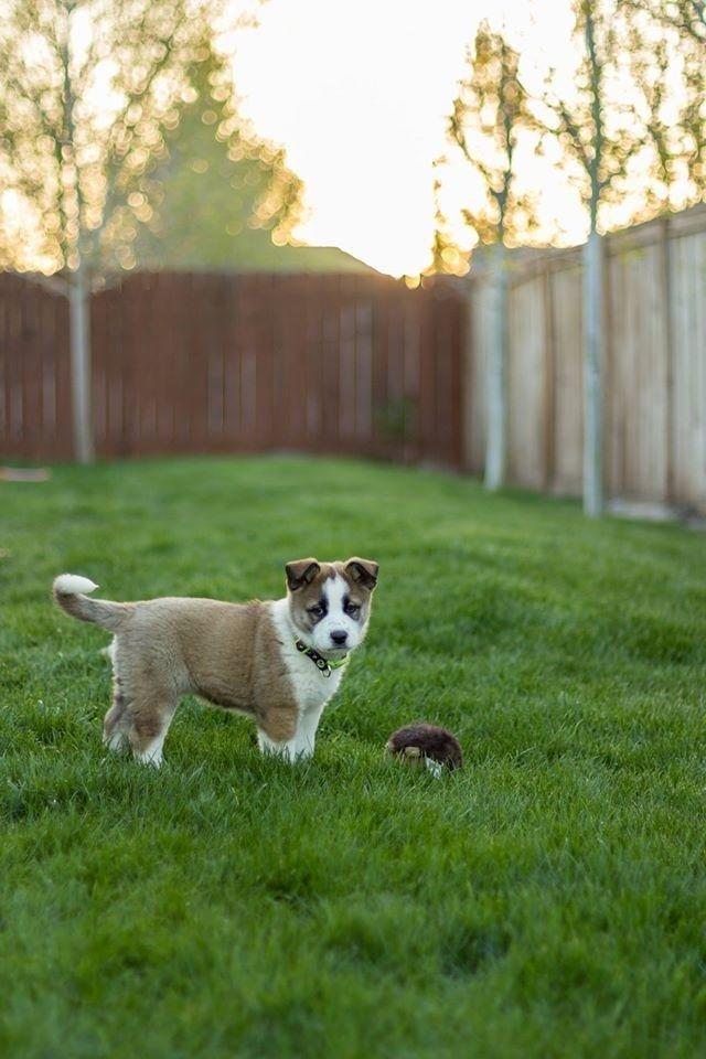 Canon EF 50mm f/1.4 USM Lens customer photo 1