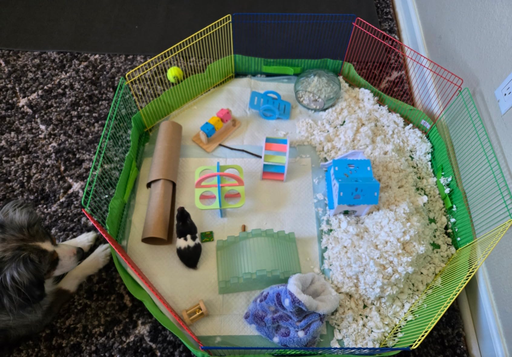 Prevue Pet Products Multi-Color Small Pet Playpen - Multi-Color customer photo 1