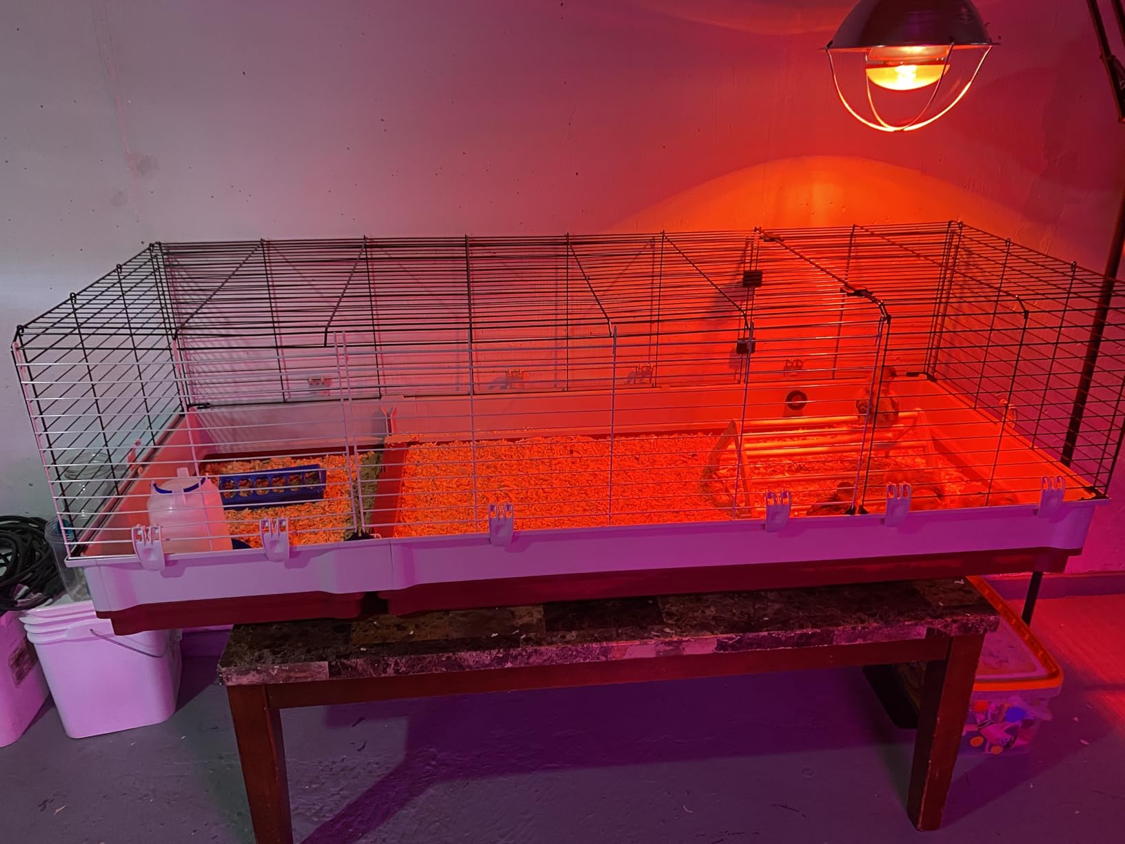 Ferplast Krolik XXL Rabbit Cage w/Wire Extension | Rabbit Cage Includes All Accessories & Measures 63.8L x 23.62W x 19.68H Inches | 1-Year Warranty customer photo 2
